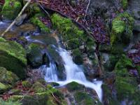 Bemooste Steine an einer Bachstufe